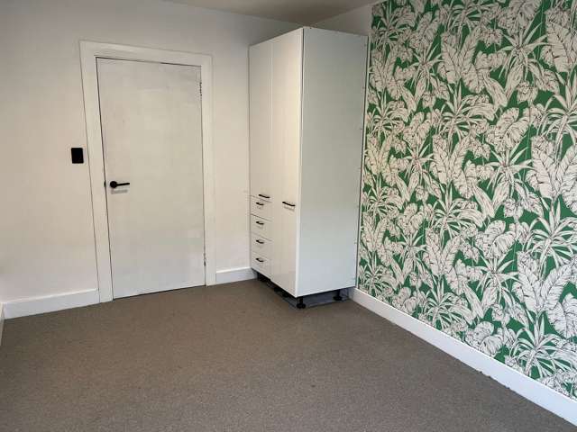 38A Malvern Street Woodhaugh_4