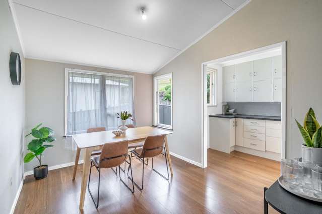 85 Hamilton Street Gore Surrounds_3