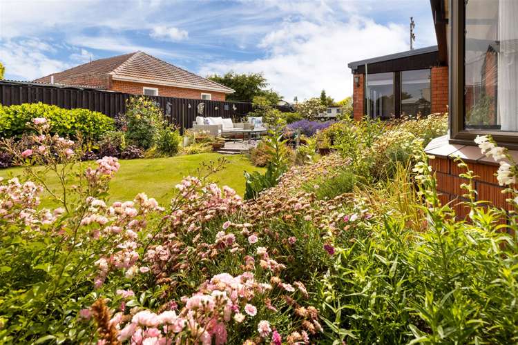 17 Murphys Road Springlands_12