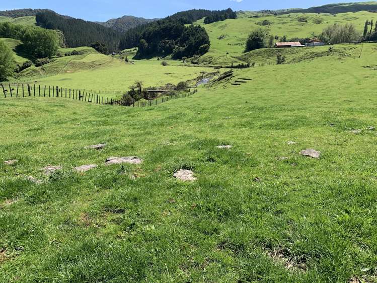 2896 State Highway 3 Awakino_26