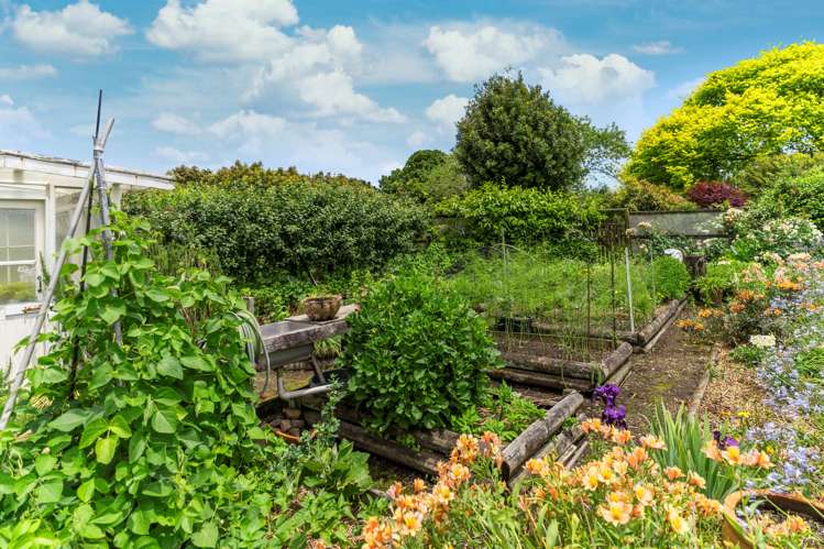 769 No 1 Road Te Puke_29