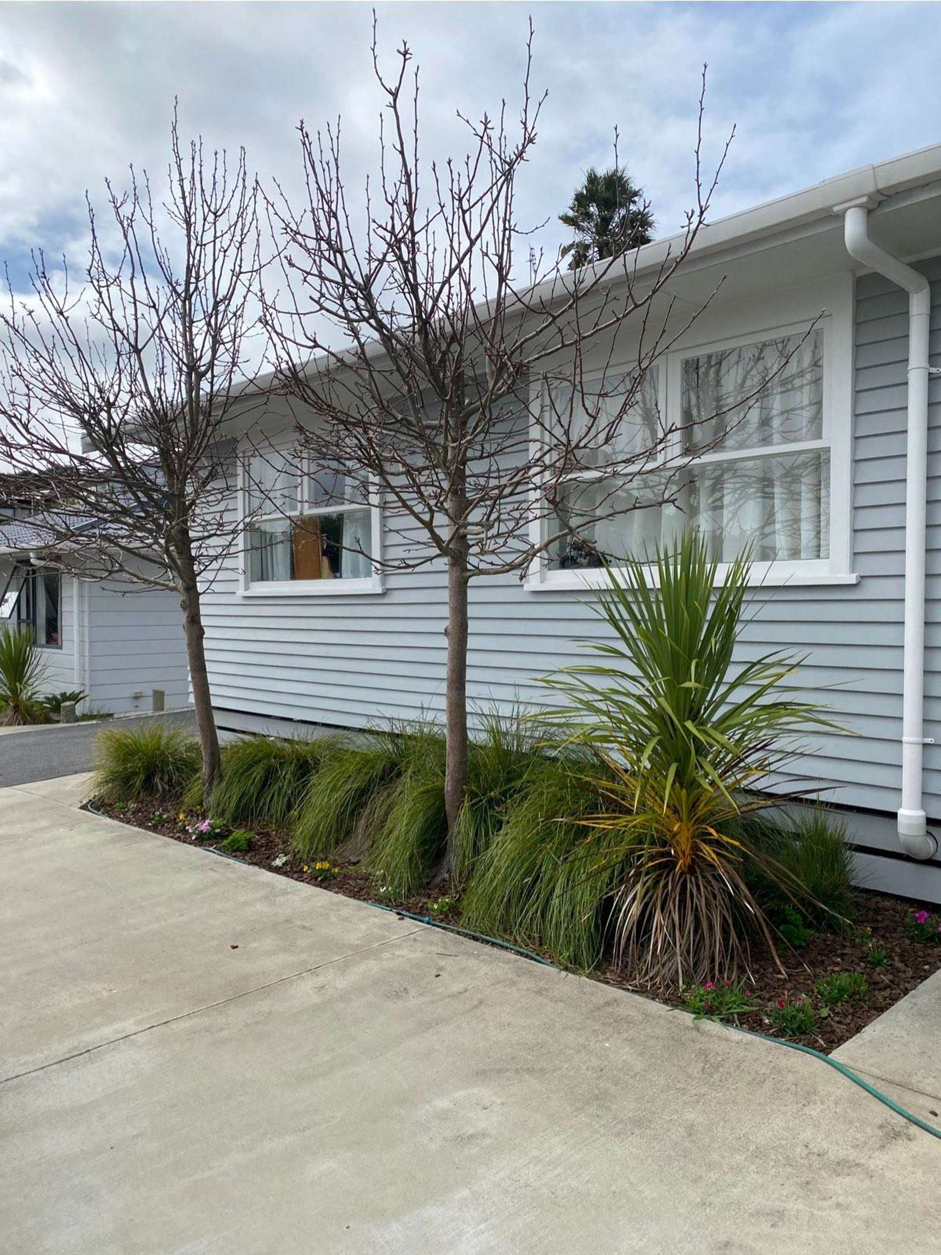 114A Awaruku Road Torbay_0