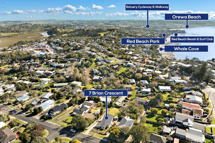 7 Brian Crescent Stanmore Bay_12