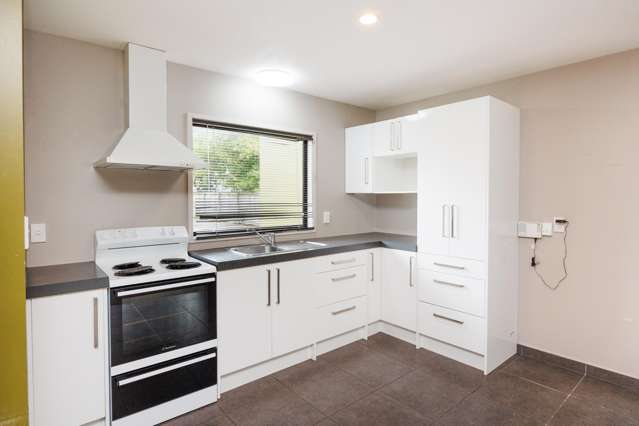 333C Featherston Street Palmerston North_3