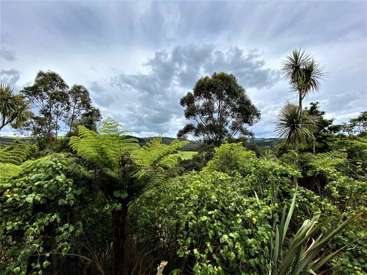 42 Ngapuhi Road Kerikeri Surrounds_5