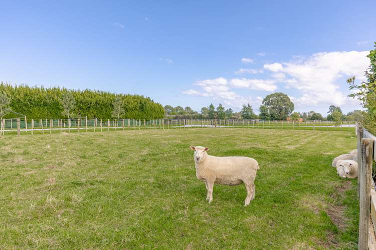 35 Saint Oswalds Drive Brunswick_34