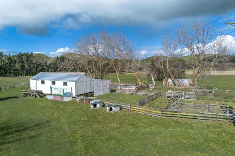 222 Tapairu Road Waipawa_7