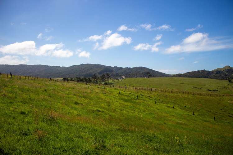 47 Cullen Street Mangawhai Heads_7