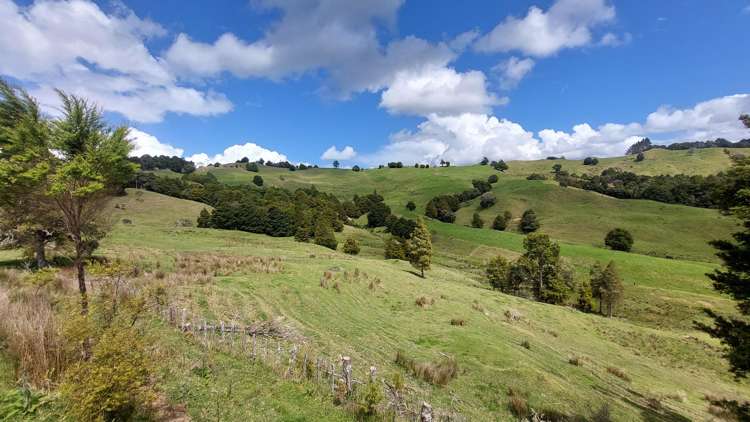 313 Paiaka Road Hikurangi Rd2_43