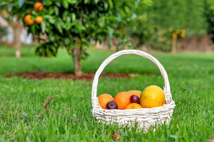 21 Corsair Drive Maungatapere_34