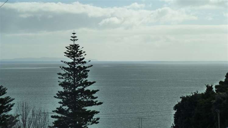 33 Patui Avenue Ngarimu Bay_37