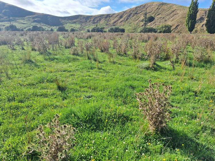 Mangaone Road Pongaroa_16