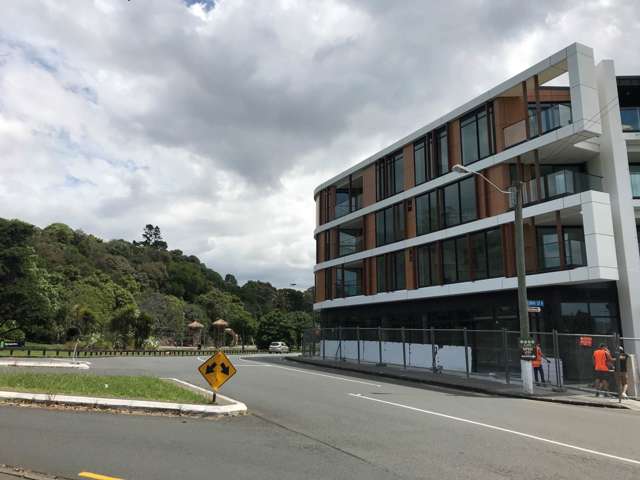 224/43 Edwin Street Mount Eden_4