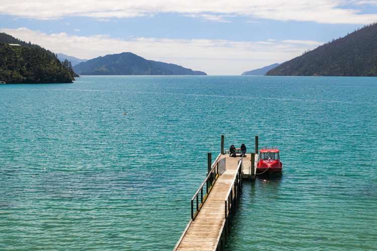 240 Maraetai Bay Marlborough Sounds_13