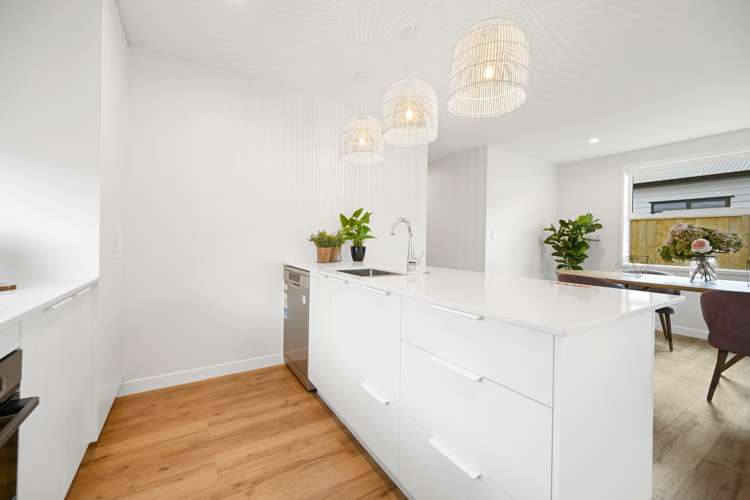 21 Halo Green Peacocke_2