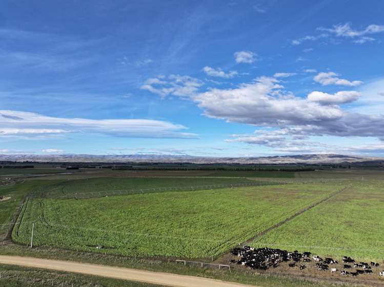 Wallington Road Omakau_30