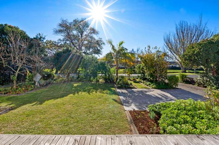 16 Douglas Mclean Avenue Marewa_7
