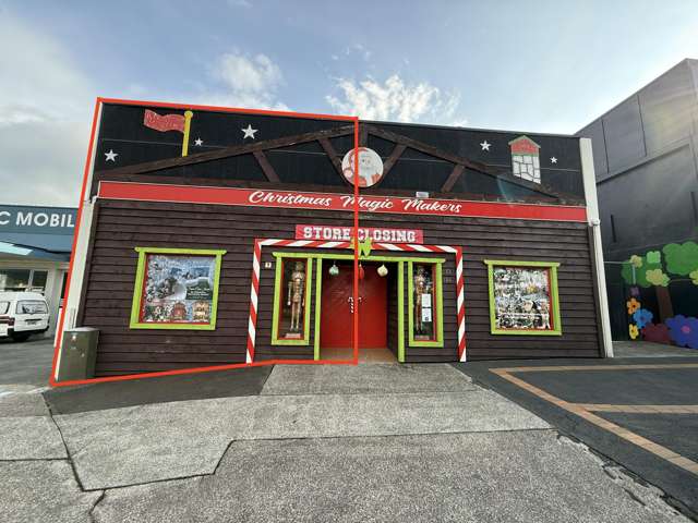 132B Jellicoe Street Te Puke_2