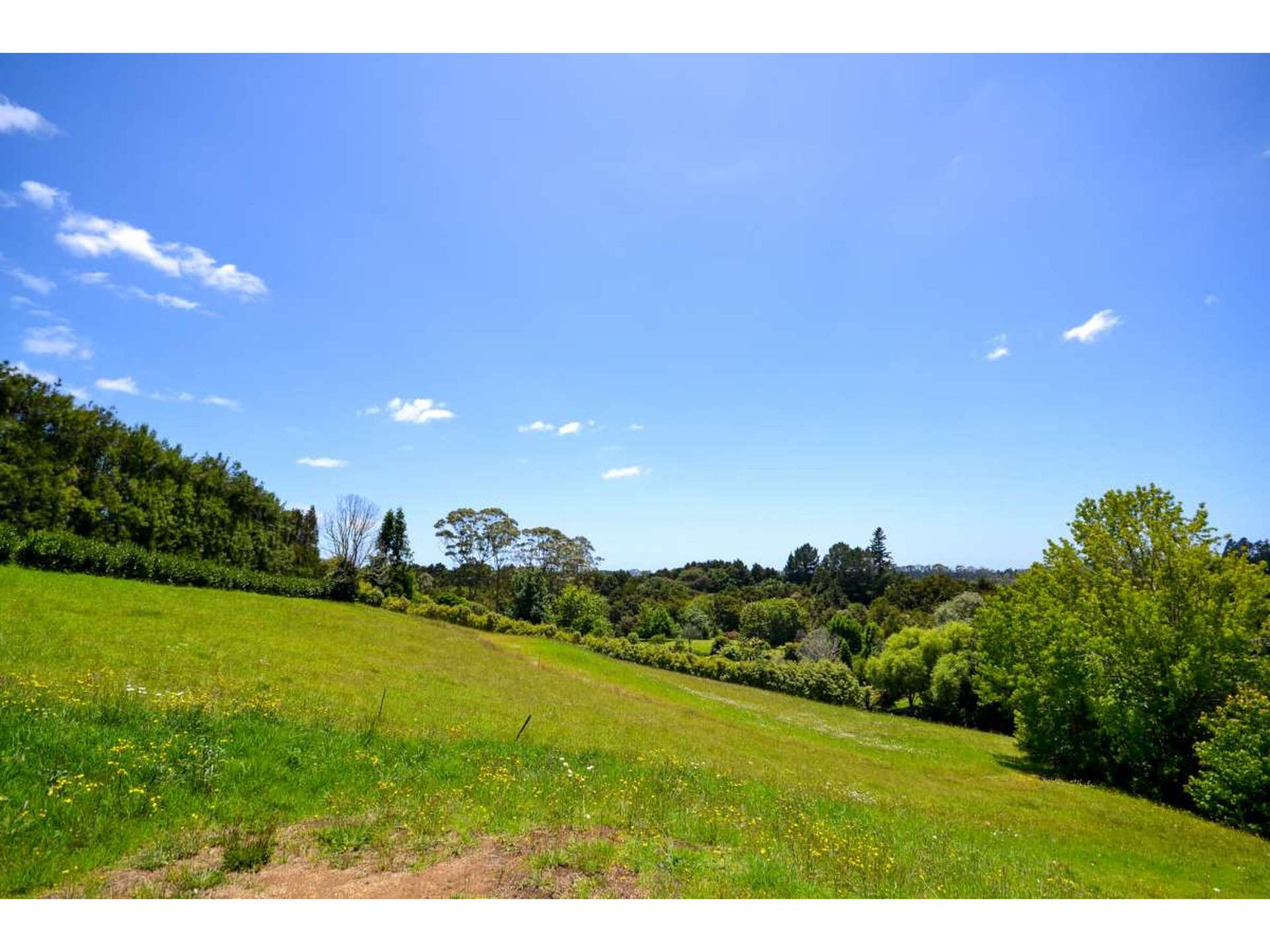 Blue Gum Lane Kerikeri_0