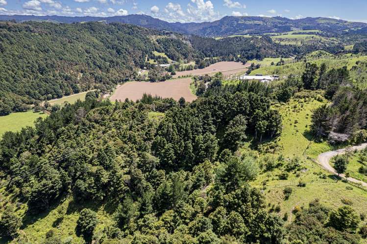 802 Russell Road Whakapara_45