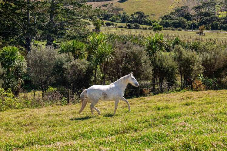 117 Worrall Road Kumeu_4