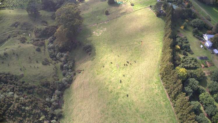 482B Esdaile Road Whakamarama_6