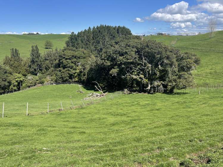 481 Honikiwi Road RD3 Otorohanga_9