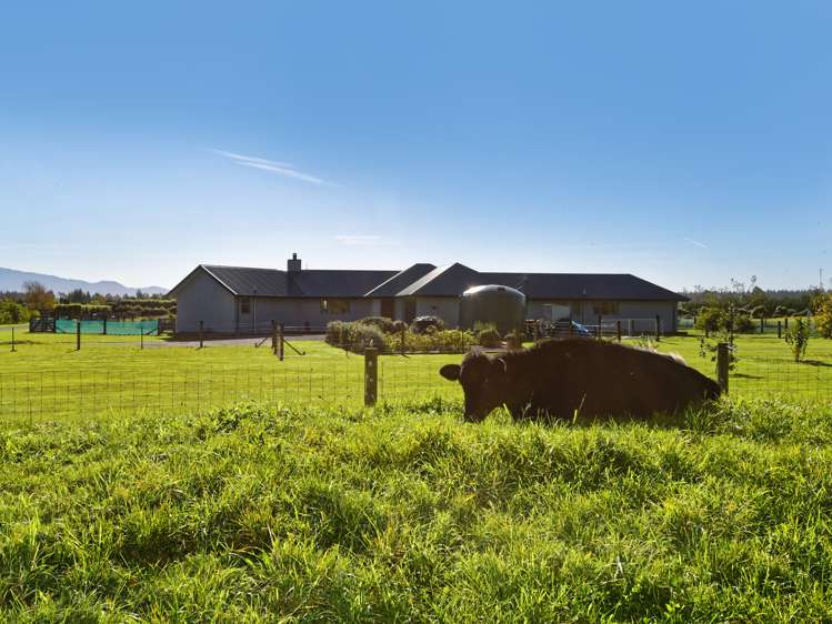 14d Mulholland Drive Darfield_17