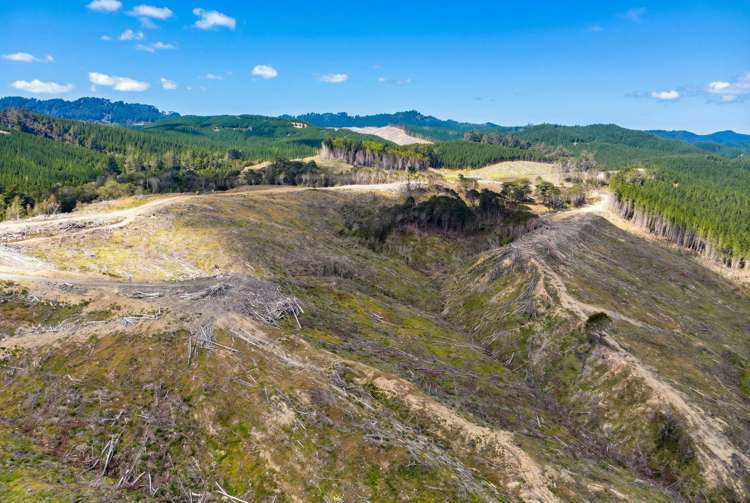 Lot 2 Kaiwhata Road_0