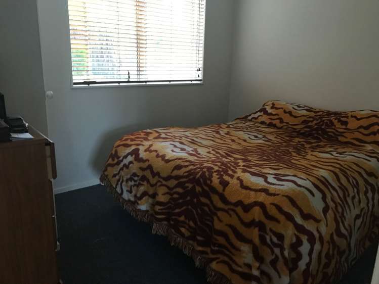 8a Galbraith Street Springfield_7