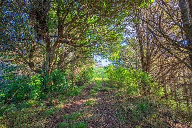 345 Taraunui Road Parua Bay_4