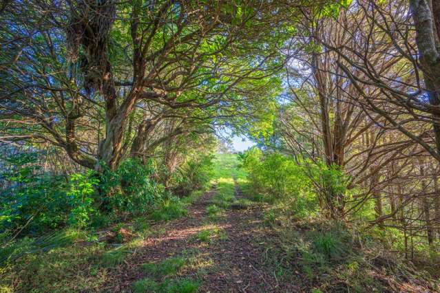 345 Taraunui Road Parua Bay_4