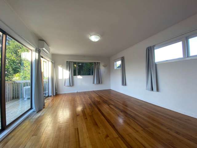 10 Locke Avenue Mt Roskill_1