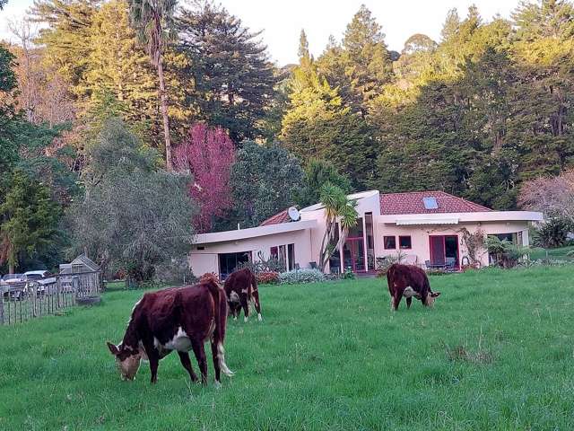 Charming Home in Whangarei's Horahora