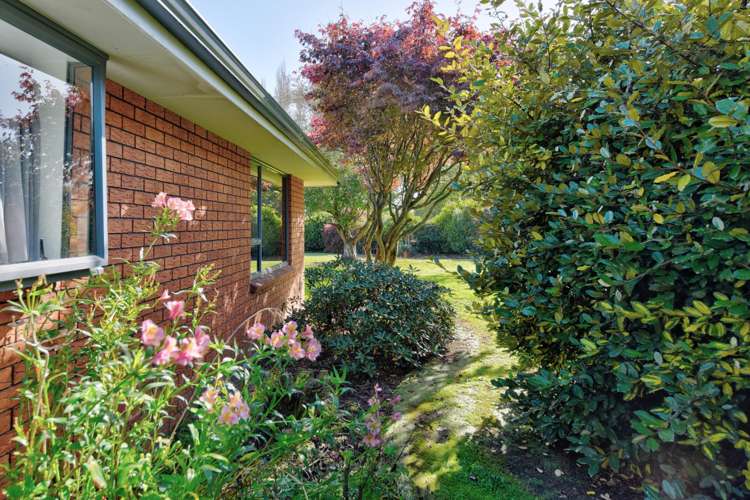 50 Morton Street Edendale_6