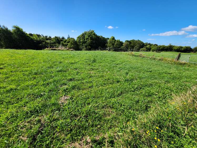 18 Rugby Road Tariki_5