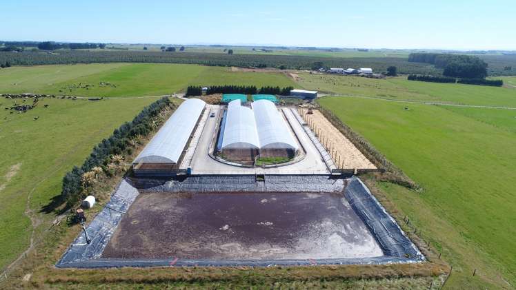 235 Waituna Lagoon Road Wyndham Surrounds_0