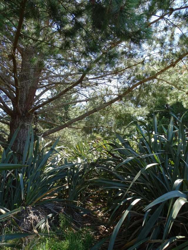 Waitarere Beach - exceptional lifestyle section