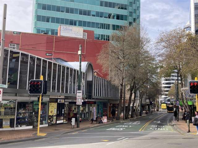 105 Willis Street Te Aro_2