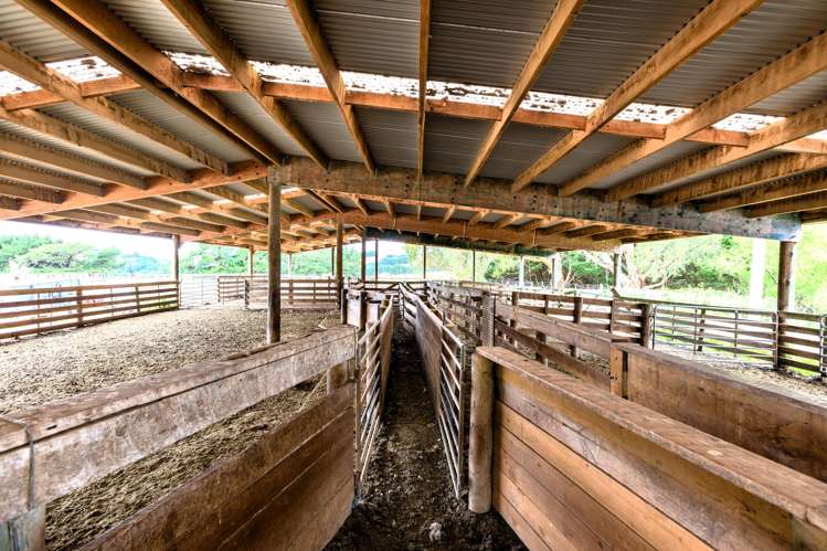 83 Towai Road Dannevirke_10