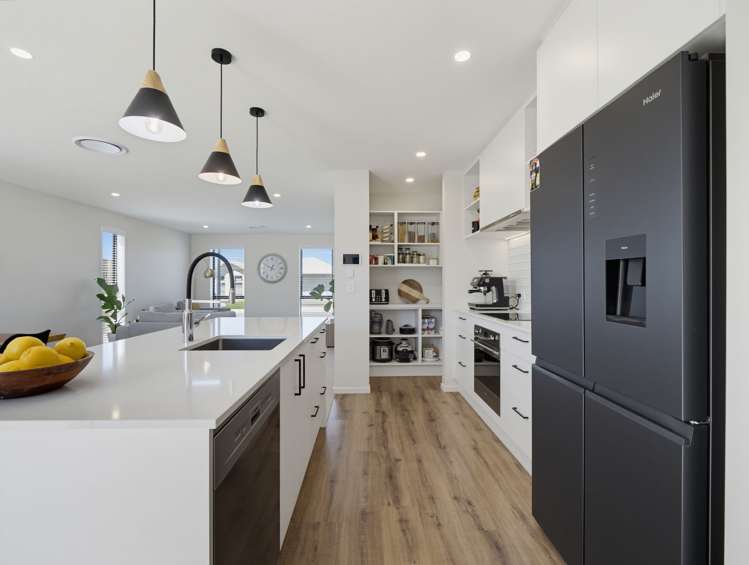 15 Higgins Street Ravenswood_9