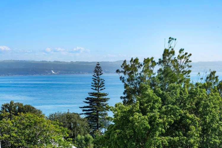 11 Coleman Terrace Hospital Hill_17