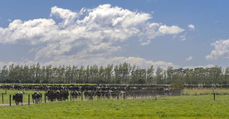 215a Wairio Road Featherston_12