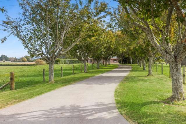 4599 State Highway 29 Matamata_2