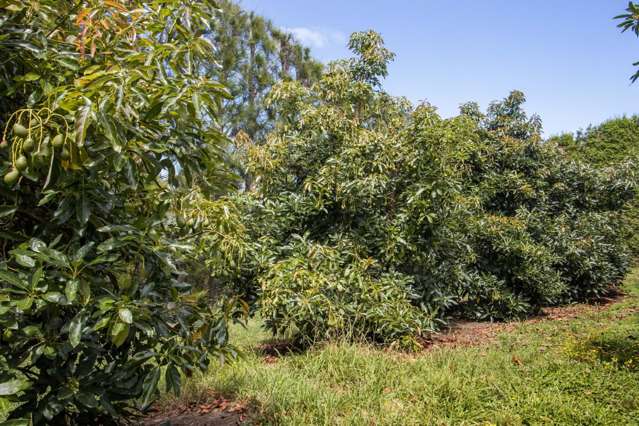 22 Ongare Point Road Katikati_2
