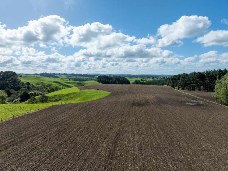 1232B Hetherington Road Huntly_12