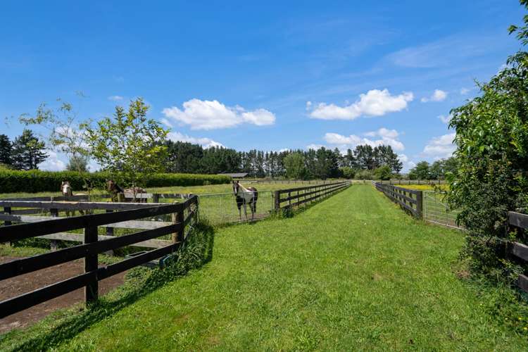 146 French Pass Road Cambridge_23