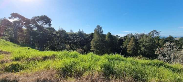 92 Vaughans Road Long Bay_5