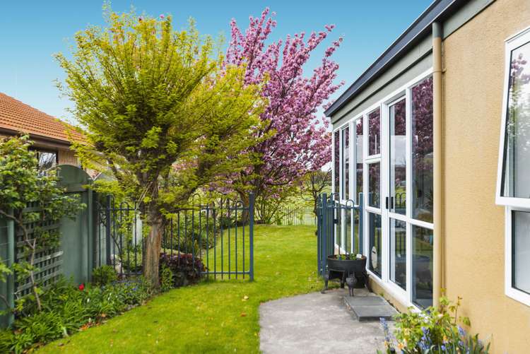 11 Mansor Court Cromwell_14