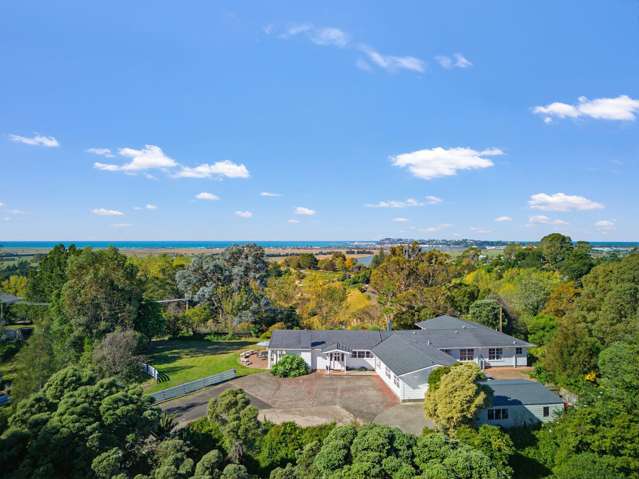 36 Longview Rd Poraiti_3